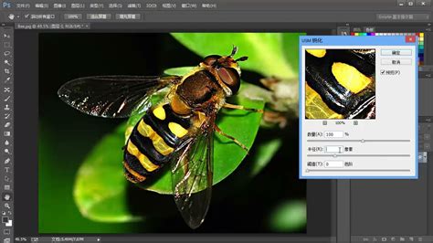 Photoshop新手教程:USM锐化滤镜让照片变清晰 - 模糊锐化 - PS教程自学网