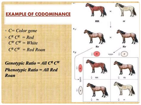 Incomplete and co dominance | PPTX