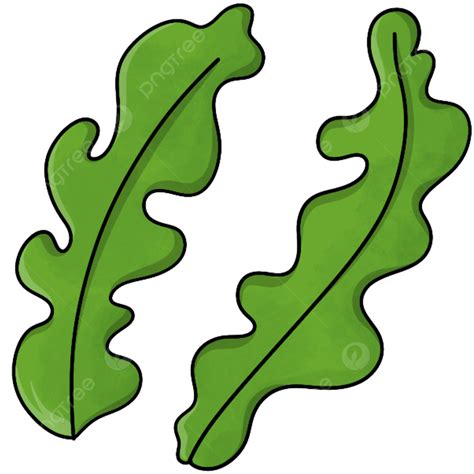 Cartoon Seaweed Clipart Vector, Seaweed Clipart, Aquatic Plants, Sea ...