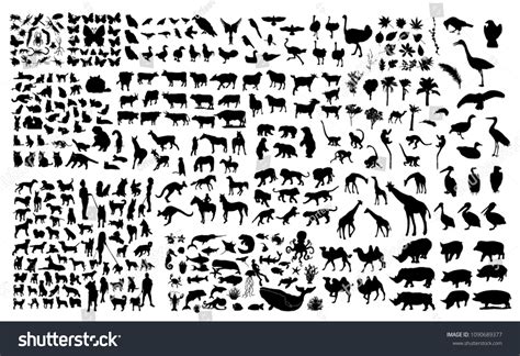 Image result for Python Animals Vector