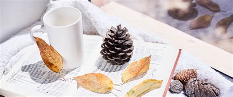 Download wallpaper 2560x1080 book, cones, leaves, herbarium, aesthetics ...