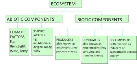 Ecosystem Structure 的图像结果