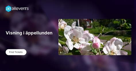 Afternoon Board Games, FVRL - Murrayville Library, Langley, 3 June 2024 ...