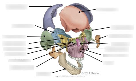Image result for Exploded Skull