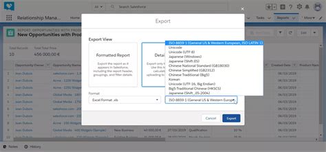 How to Export Salesforce to Excel 的图像结果
