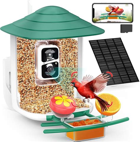 birdsnap® TUC Smart Bird Feeder with Camera 2K HD, Solar Panel 32GB ...