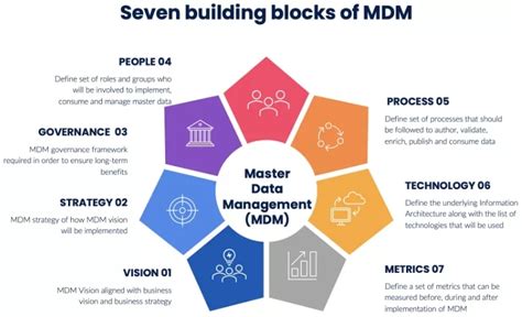 Master Data Management 的图像结果