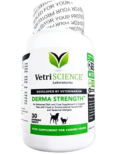 Derma Strength Support Skin Health and The Appearance of Coat for Dogs ...