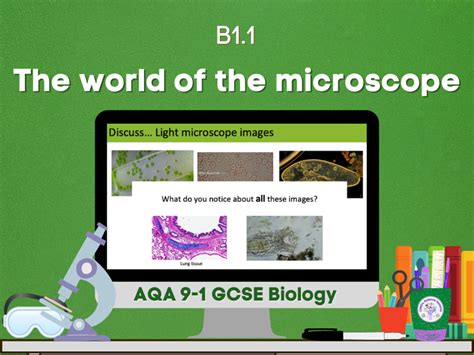 Image result for Microscope World