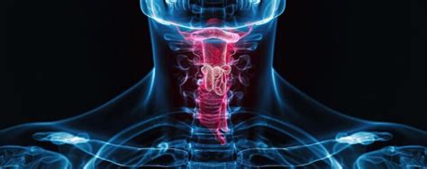 Neck Design Cutting 的图像结果