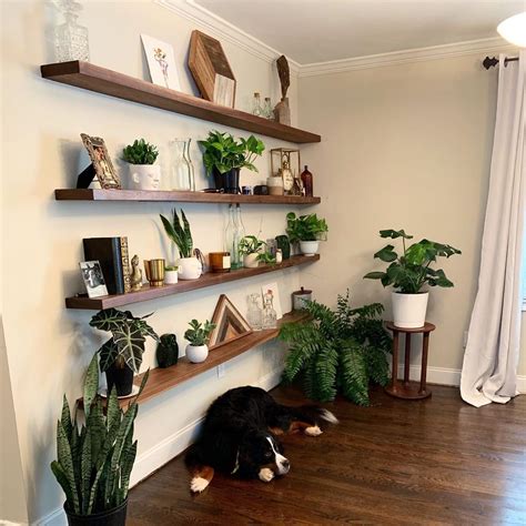 living room indoor plant wall ideas