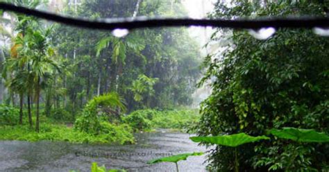 Monsoon in Kerala: Good rain in Kerala to continue for 24 hours ...