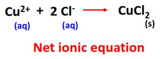 Image result for Net Ionic Equations Examples