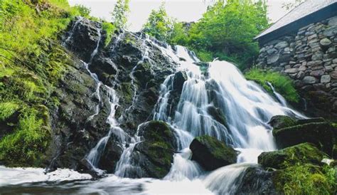 5 Majestic Waterfalls Of West Bengal | WhatsHot Kolkata