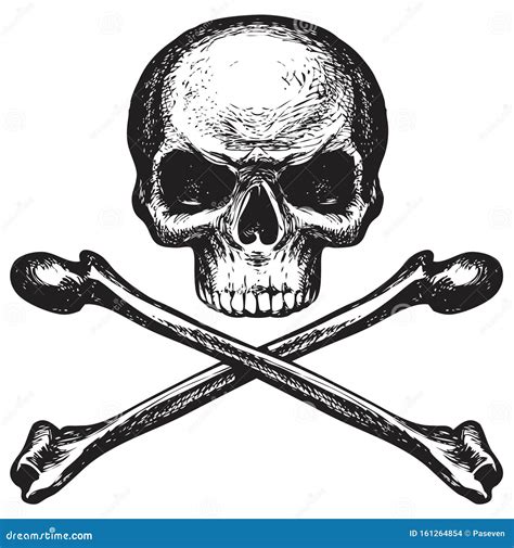 Skull And Crossbones, Pirate Symbol Or Danger Sign Vector Illustration ...