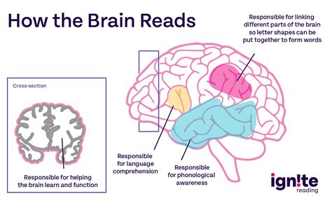 Image result for Learning How to Read
