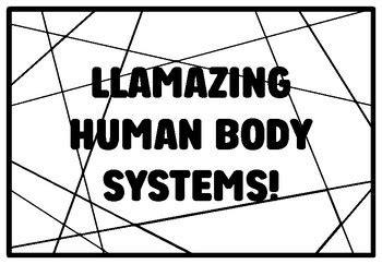 LLAMAZING HUMAN BODY SYSTEMS! Grade 7 And 8 Science Coloring Pages ...