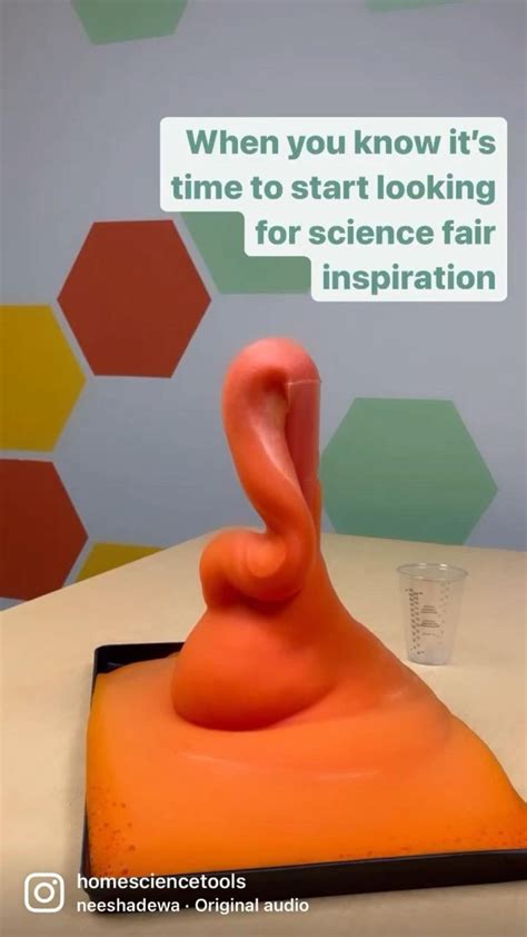 Image result for Science Fair Experiments