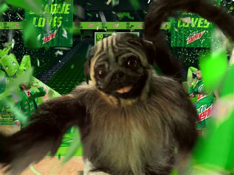 Puppy Monkey Baby Super Bowl Commercial 的图像结果