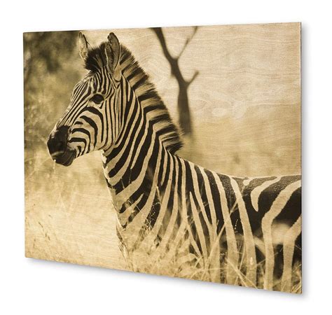 KAVKA D model-Ply-PP16-16X20-Bob101 Zebra Plywood Wall Art : Amazon.in ...