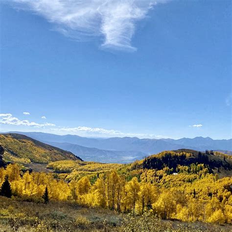 IMG_5202 | Maxine Mayer | Flickr