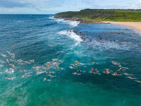 Swim in Sea 的图像结果