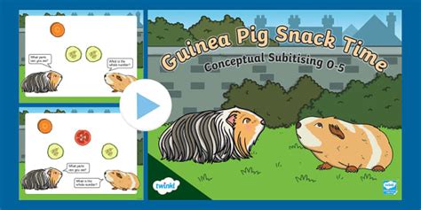 👉 Guinea Pig Snack Time: Conceptual Subitising 0-5 PowerPoint