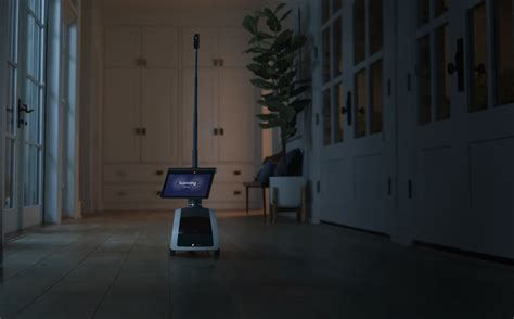 Home Robot 的图像结果