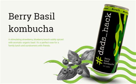 Dad's Hack Kombucha Drink for Gut Health, Pomegranate Mint, Ginger Lime ...