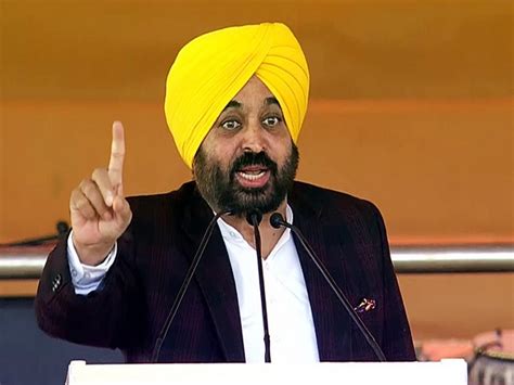 Punjab: CM Mann announces hikes in crop loss compensation