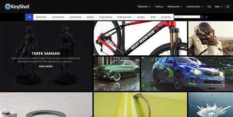 Image result for Divi Theme Examples