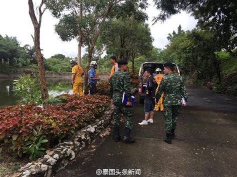 泰国老虎园失踪中国女游客已找到走失原因未明_央广网