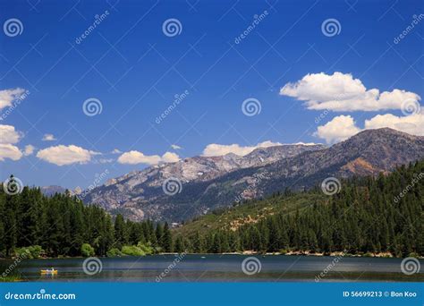 Hume Lake stock image. Image of national, plants, california - 56699213