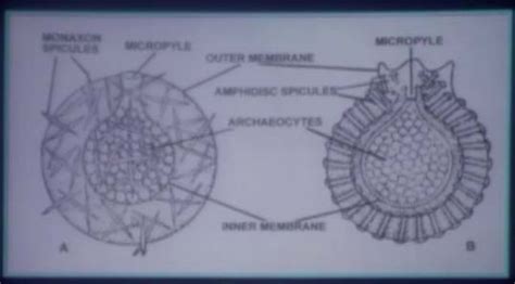 Welcome To Madhya Pradesh Bhoj (open) University