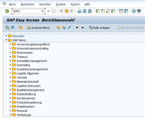 What Is SAP Program 的图像结果