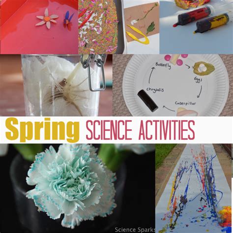 Image result for Spring Science Activities