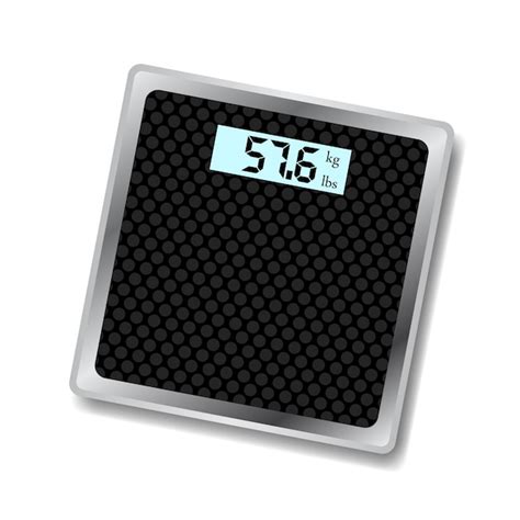 Image result for Scale Vector