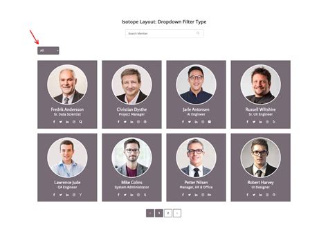 Image result for Dynamic Dropdown Filter