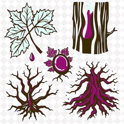 Image result for How to Make Root Map