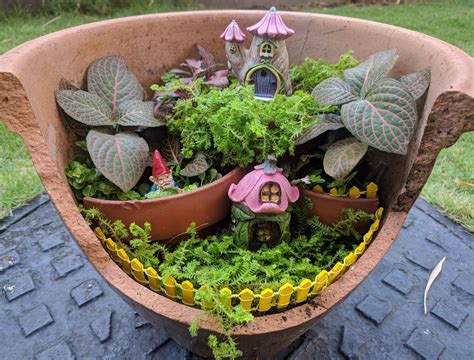 Grow a Fairy Garden: 5 Plants That Attract Enchantment