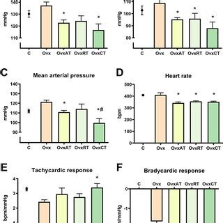 Image result for Pulse Pressure Variability