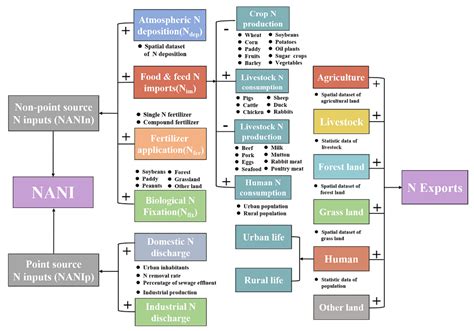 Spatiotemporal Dynamics of Nitrogen Budgets under Anthropogenic ...