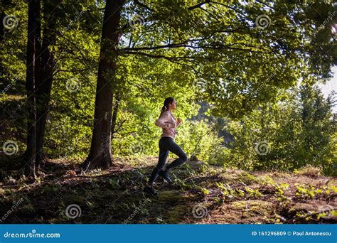 Young Girl Jogging in the Woods on a Sunny Morning. Stock Image - Image ...