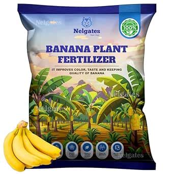 Nelgates premium organic Banana Plant fertilizer for banana tree fruit ...