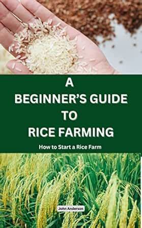 A Beginner’s Guide to Rice Farming: How to Start a Rice Farm, Step-by ...