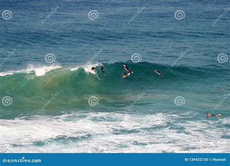 Surfing 的图像结果