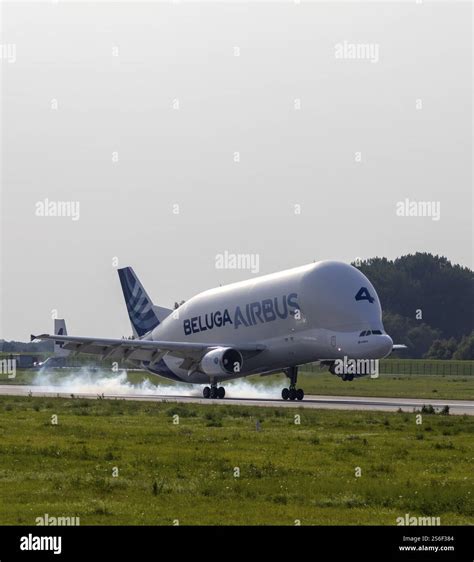 Airbus Beluga A300-600ST XL at the Airbus plant in Hamburg Finkenwerder ...