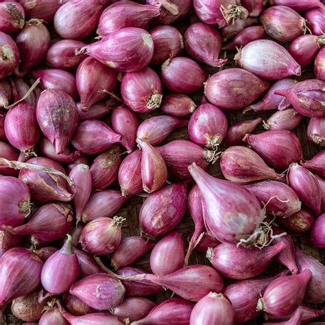 Benefits Of Shallots For Heart - health benefits