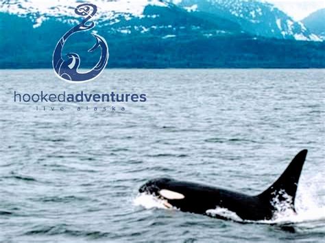 HOOKED ADVENTURES (2026) All You Need to Know BEFORE You Go (with ...