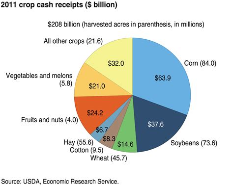 The Most Valuable Cash Crops In The World | Importance & Principles of ...